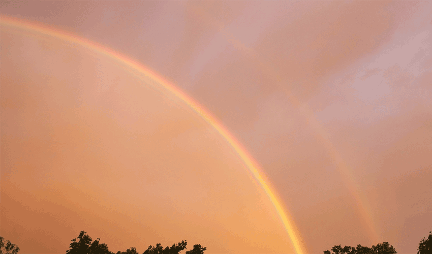 Schlange und Regenbogen