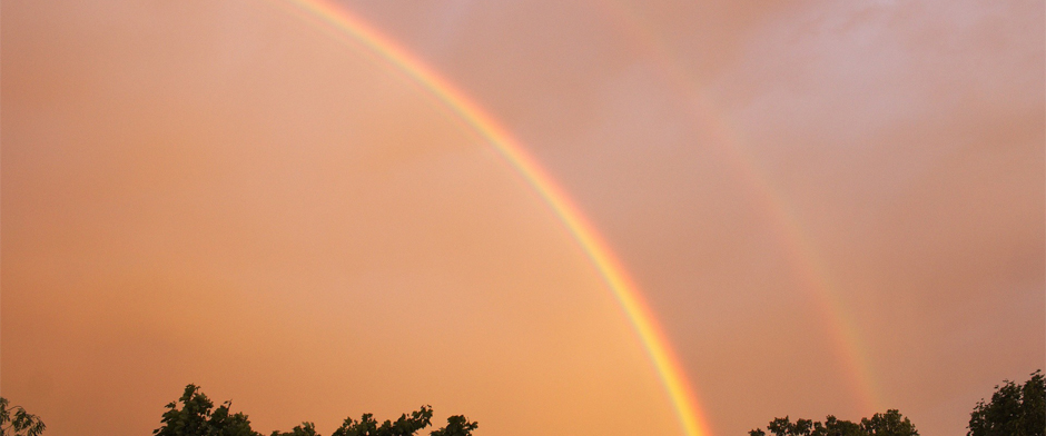 Schlange und Regenbogen