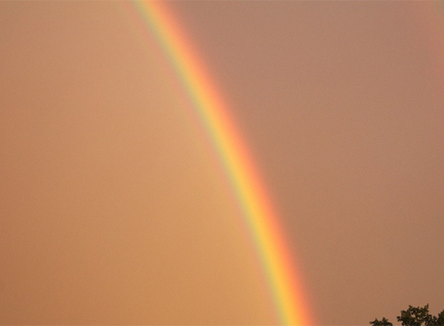 Schlange und Regenbogen